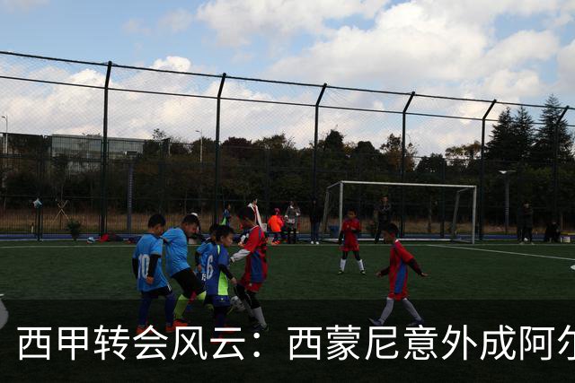 西甲转会风云：西蒙尼意外成阿尔瓦雷斯盟友，巴萨一亿首报遭冷遇